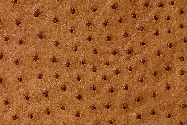 Ostrich Leather