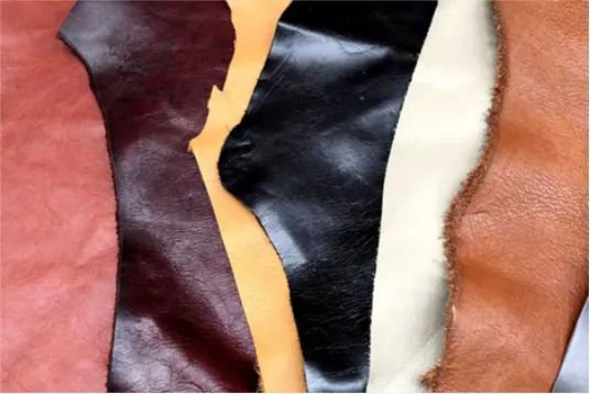 The Complete Guide to Leather Types