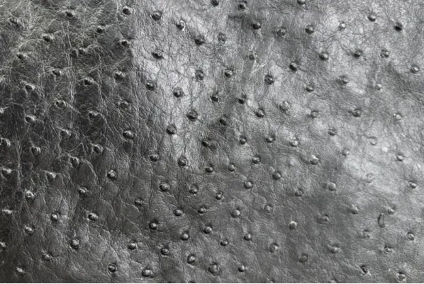 Ostrich Leather