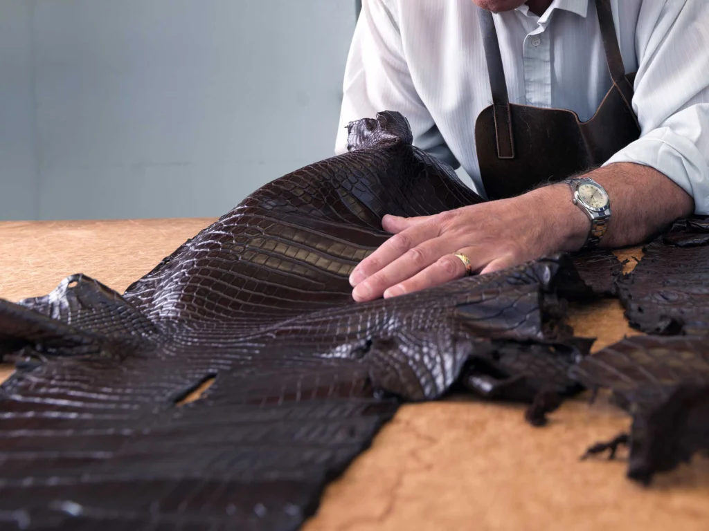 Crocodile leather selection