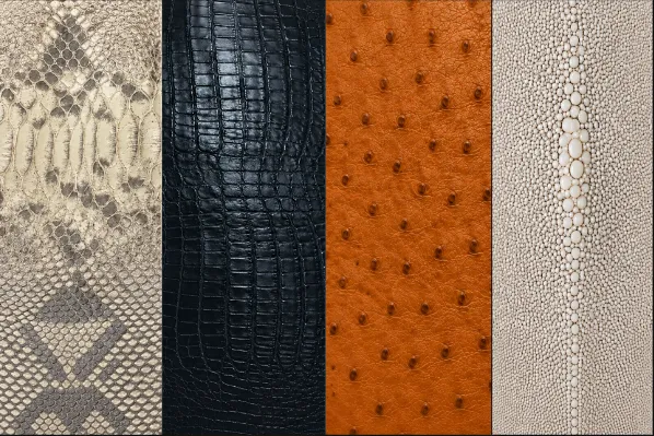 Exotic leather​
